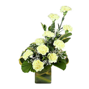 Yellow Carnation In Vase